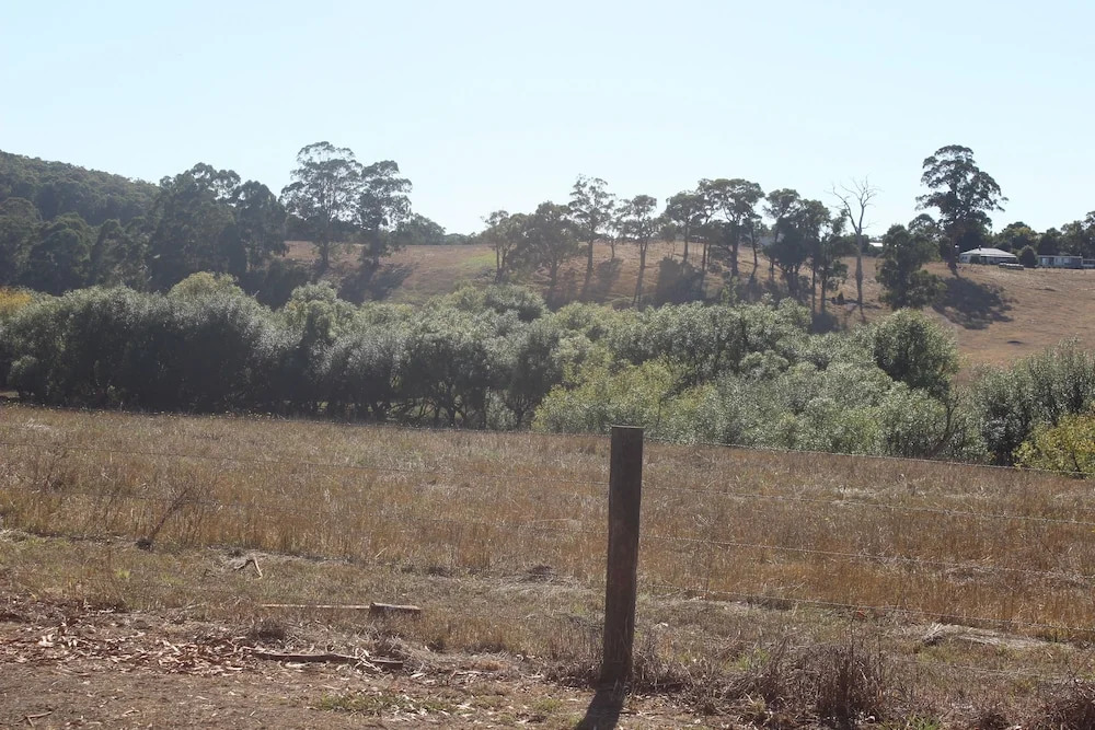 Forrest Holiday Park