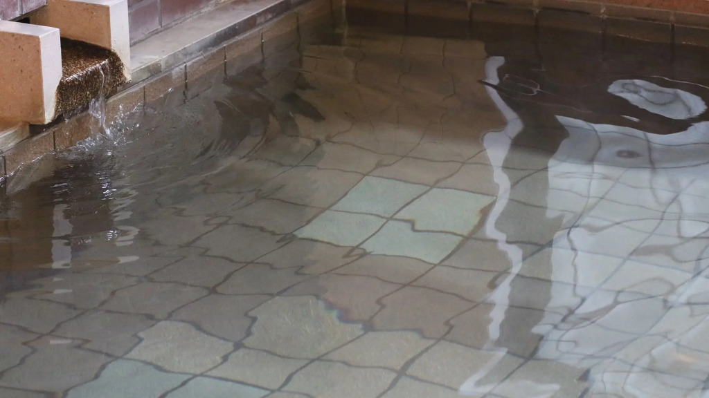 Nishidani Onsen Chuseikan