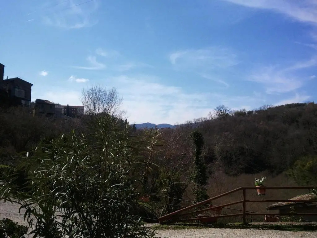 Torre Avellana