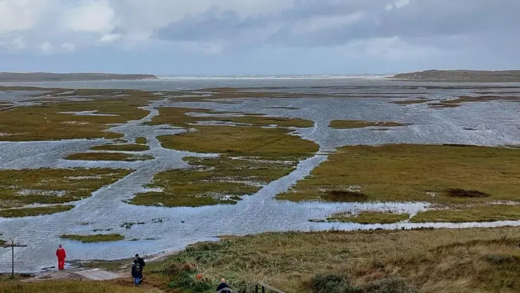 Thuis op Texel