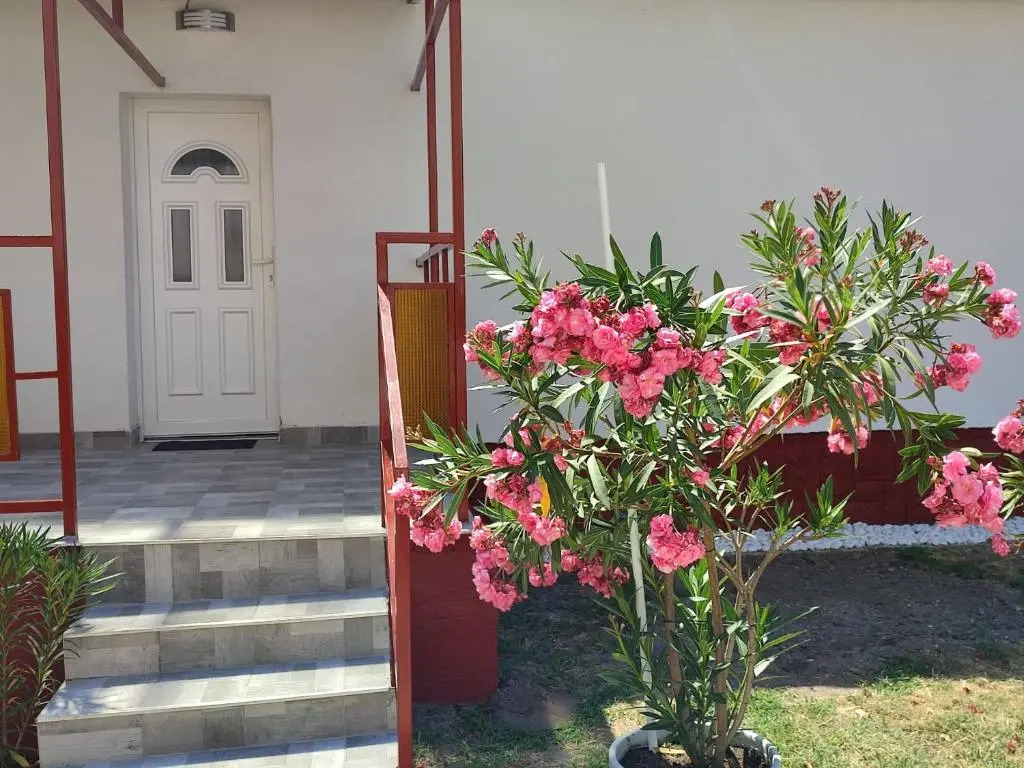 Rákos-patak Family House