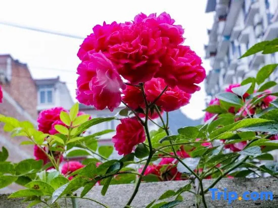 Yangshuo Manyao Hostel