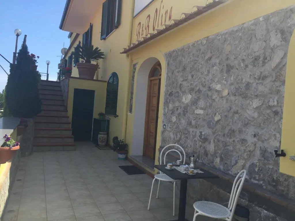 B&B Oliva
