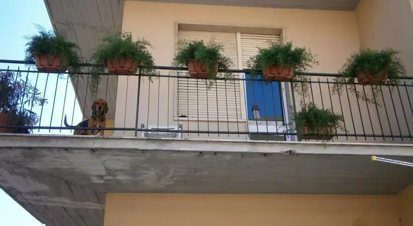 B&B Migliori
