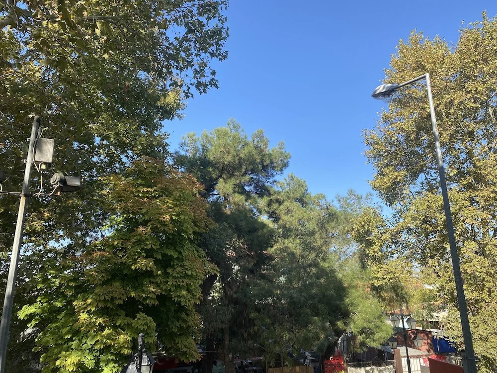 Edirne Adres Karaağaç