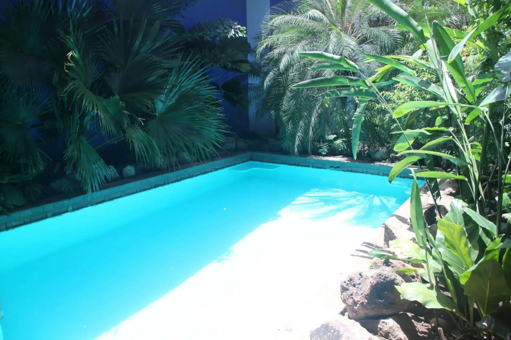 Miss Margrits