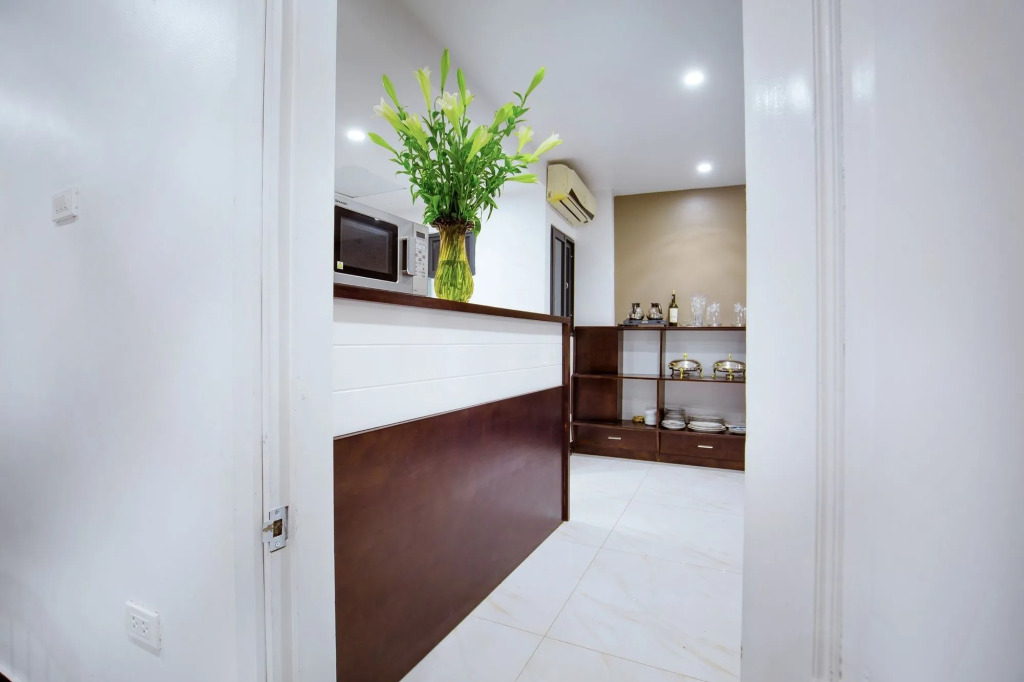 Hanoi Apartment Lion