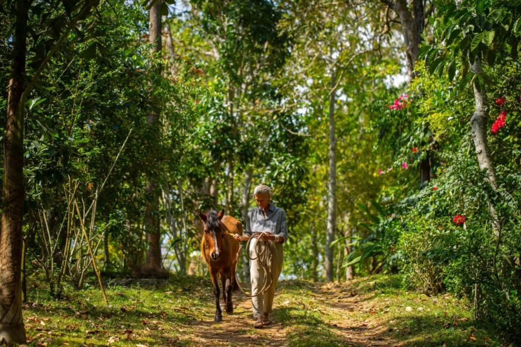 Islas Ridge - A CGH Earth SAHA Experience