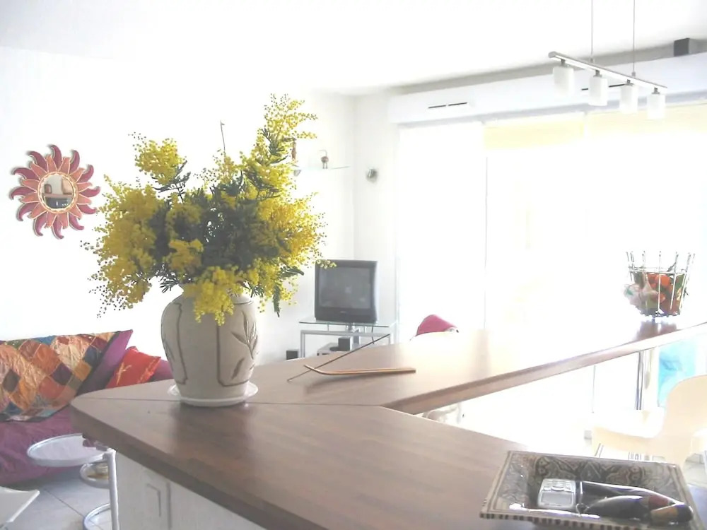 Apartment With 2 Bedrooms in Fréjus, With Pool Access, Furnished Terra