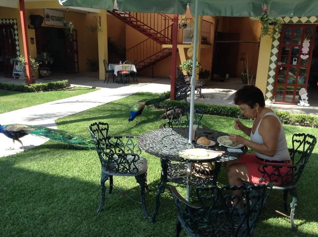 Hotel El Morichal
