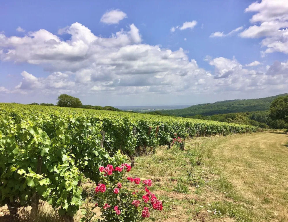 Domaine Joseph LAFARGE Wine Resort Oeno-tonneaux expérience