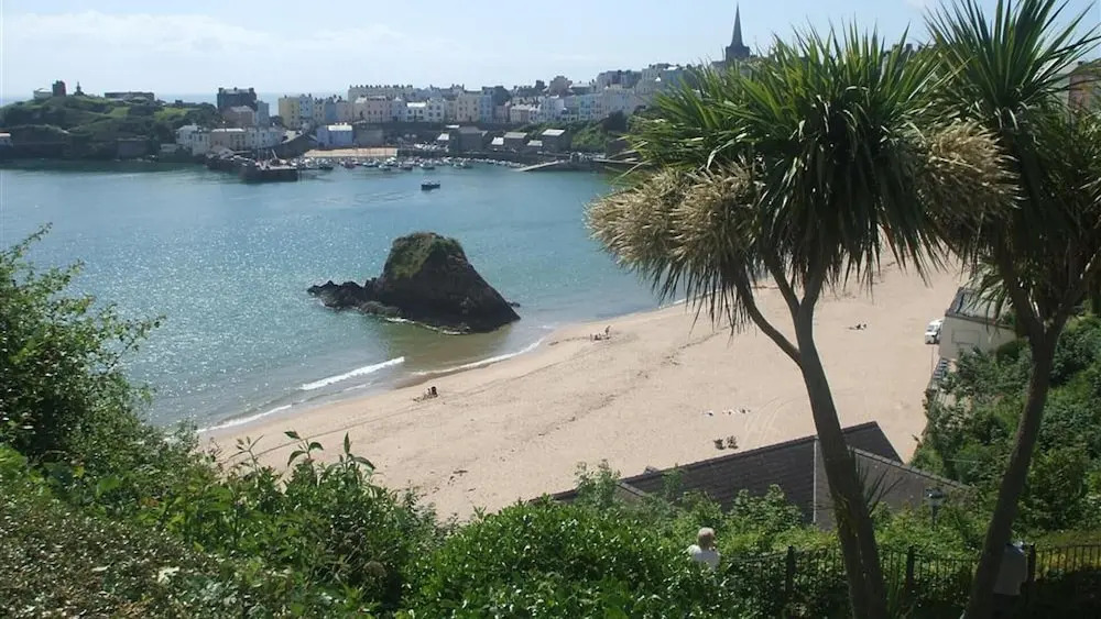 Sunny Cove 4