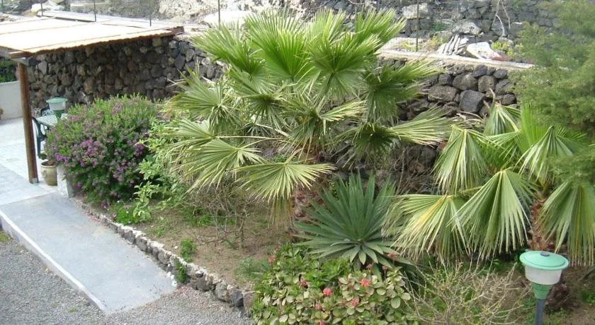 Papuscia