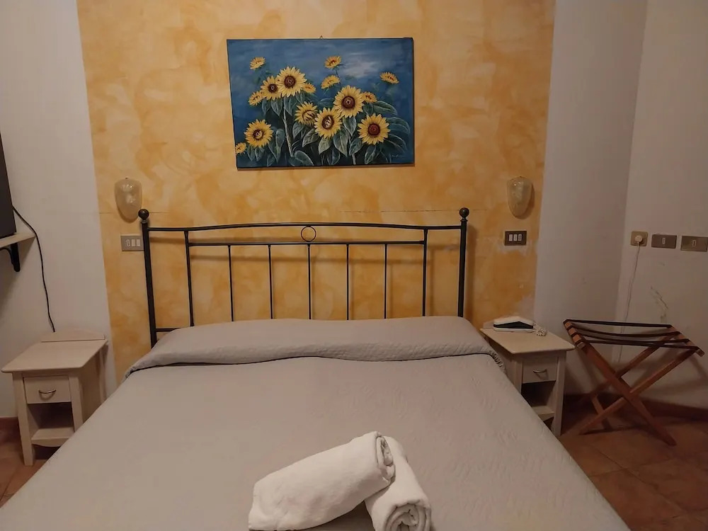 Hotel Carol