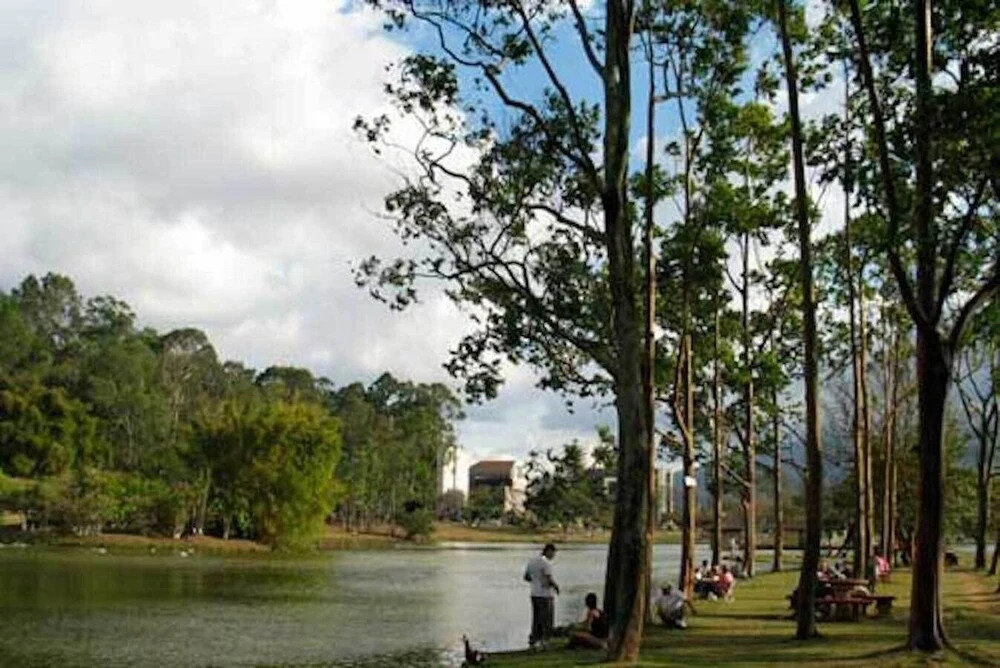 Worry-free Stay in San Jose Private Apartment Make the Most of Your Visit