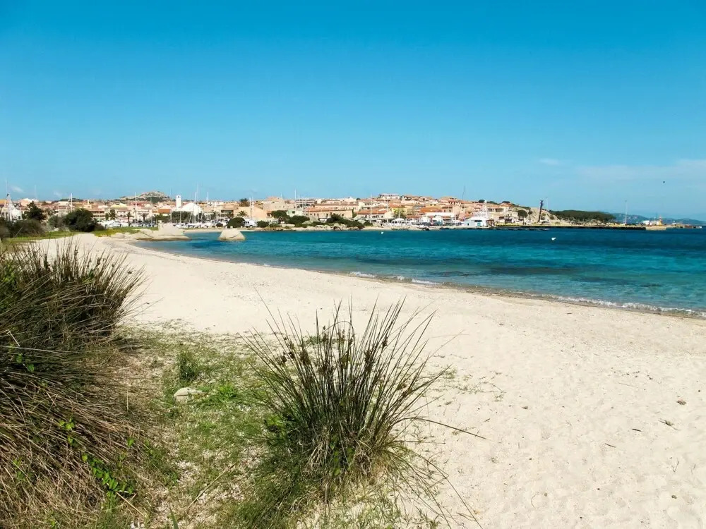 Mimosa Punta Sardegna