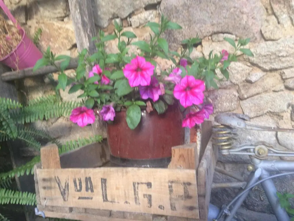 Casa Rural Amparo