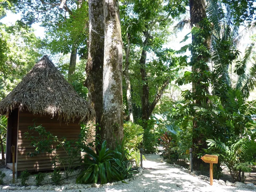 Hotel El Pequeño Gecko Verde