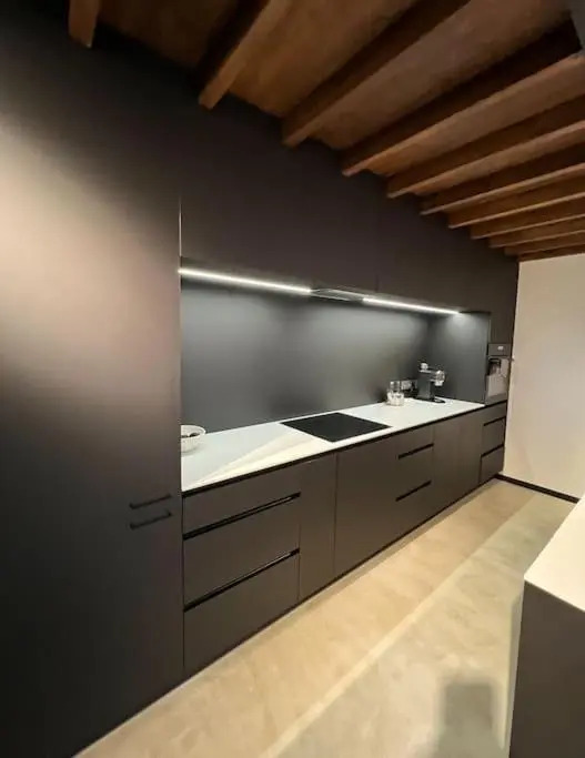 Huge modern flat in New town/Naujamiestis
