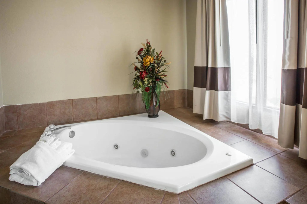Vista Suites Near Island and Leconte Convention Center