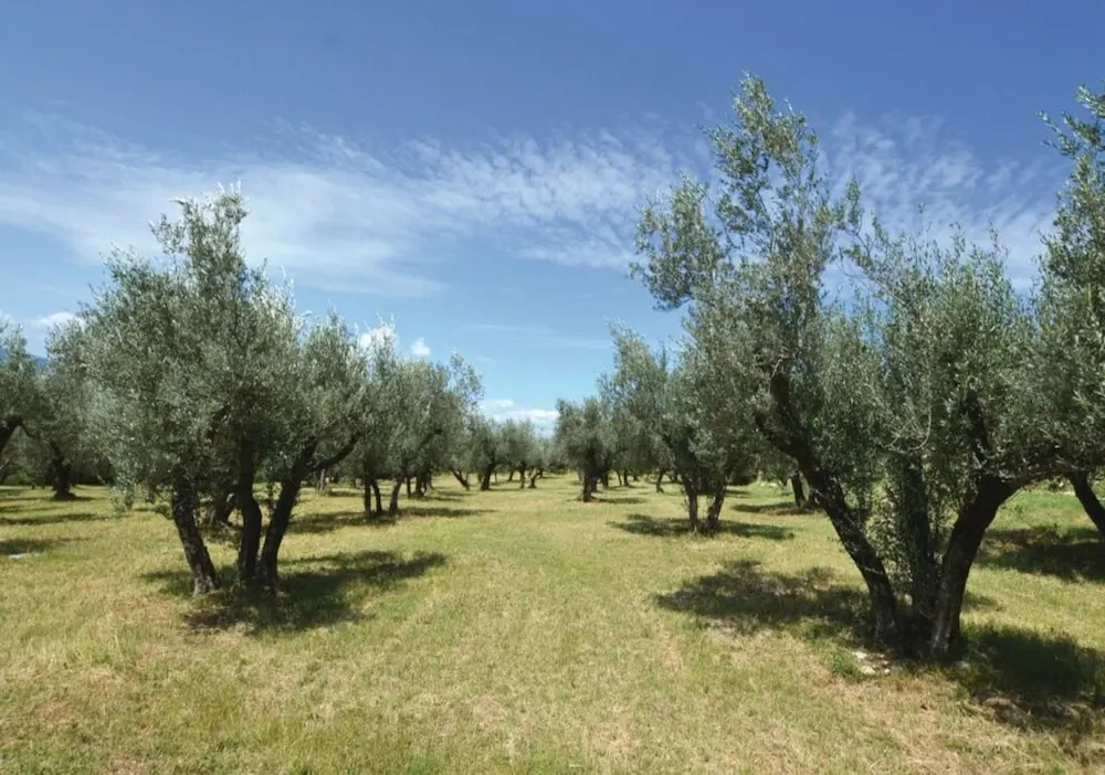 Agriturismo Villa Val DOlivi