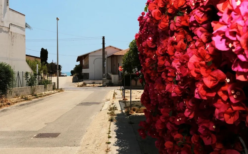 Maison Giuliana
