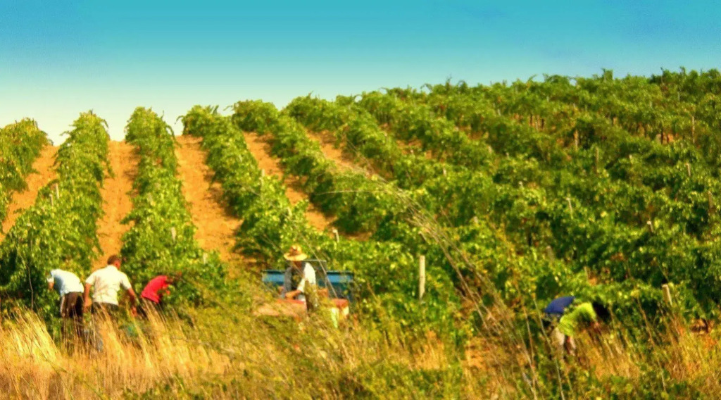 Agriturismo Tarantola