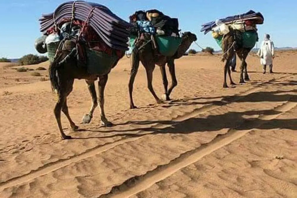 Mhamid Desert Camp Tours