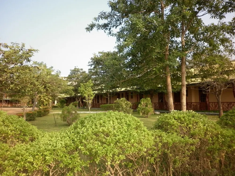 Wila Safari