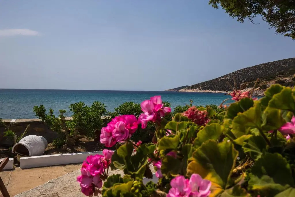 Pension Ageliki Sifnos