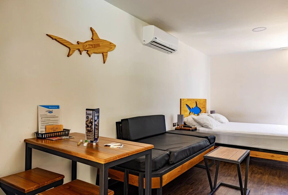 Shark Town Mal Pais