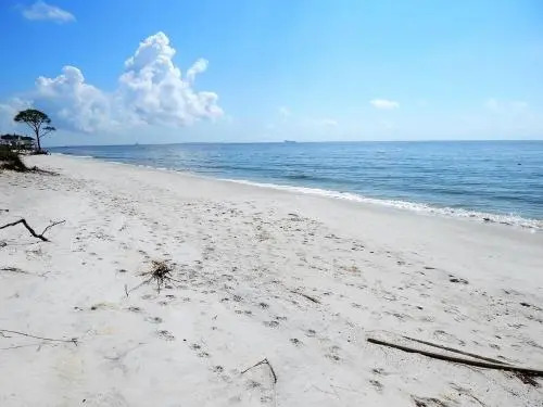 082 Dauphin on the Gulf