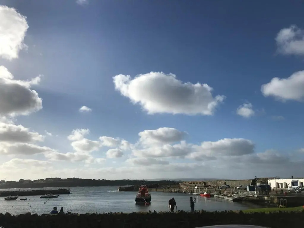 The Harbour Studio