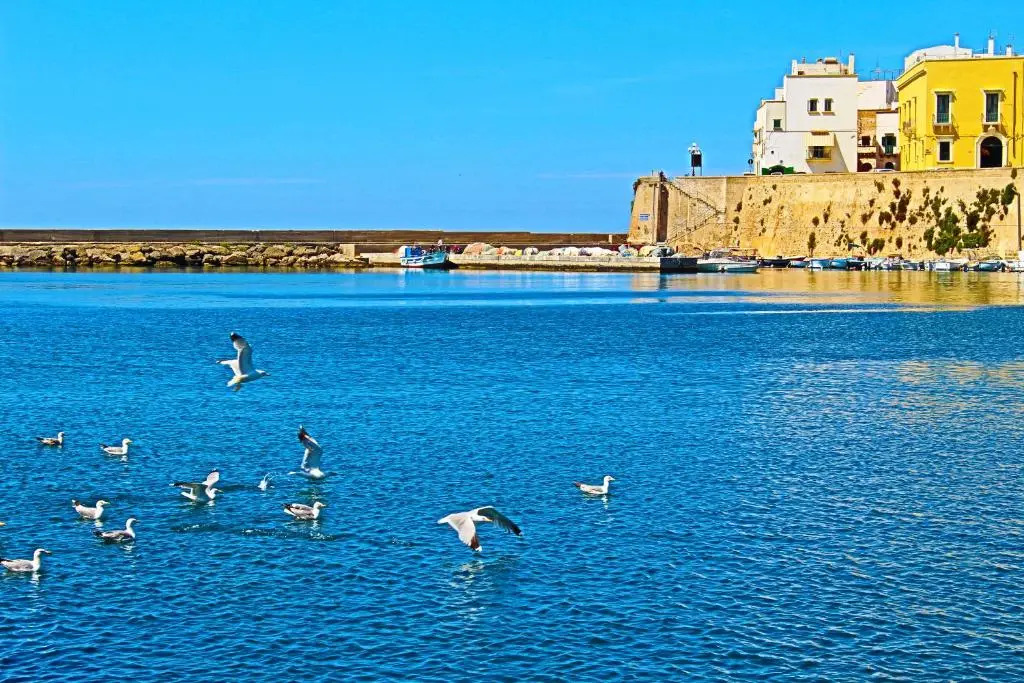 B&B Kalypso
