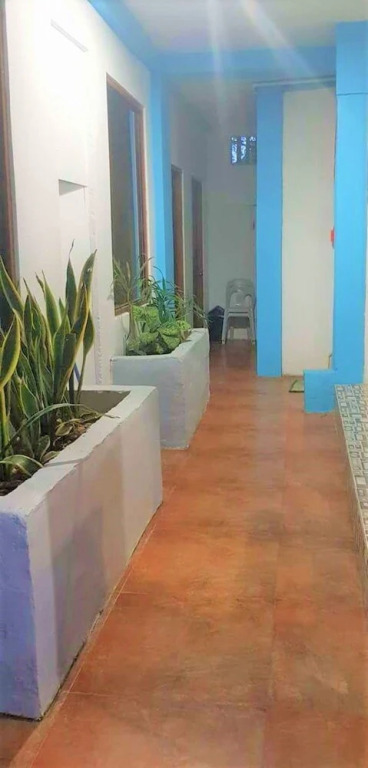 Ohana Hostel