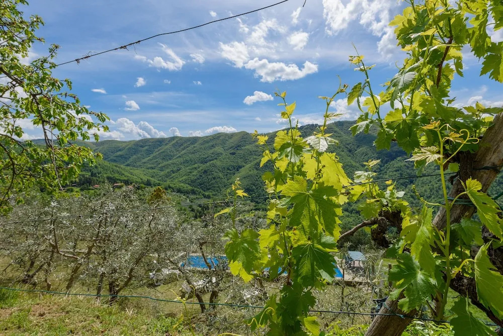 Villa L'Intento