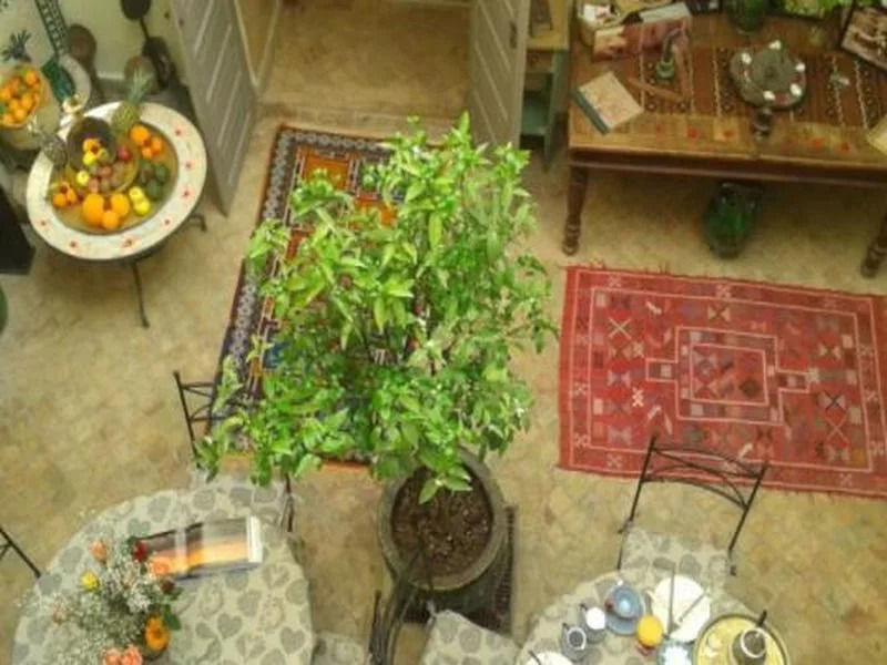 Riad Al Idrisi