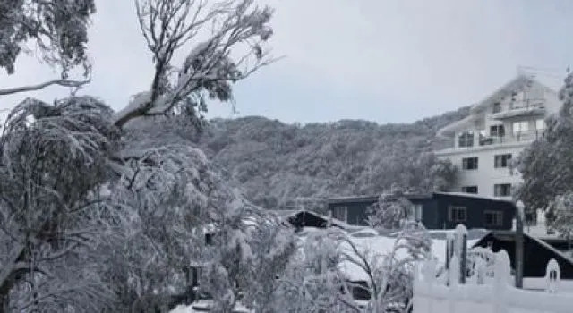 Attunga Alpine Lodge & Apartments