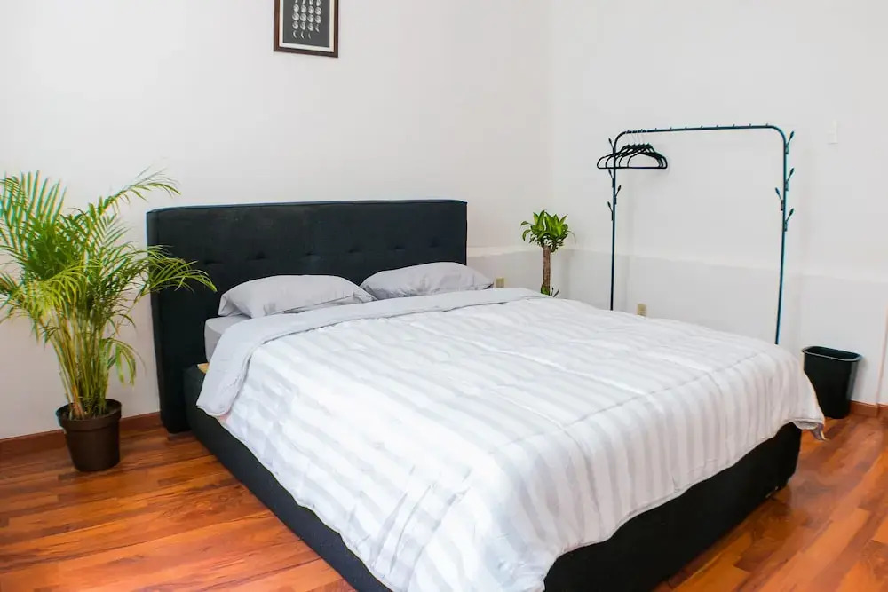 Casa Lumo in Roma Norte by Tasman