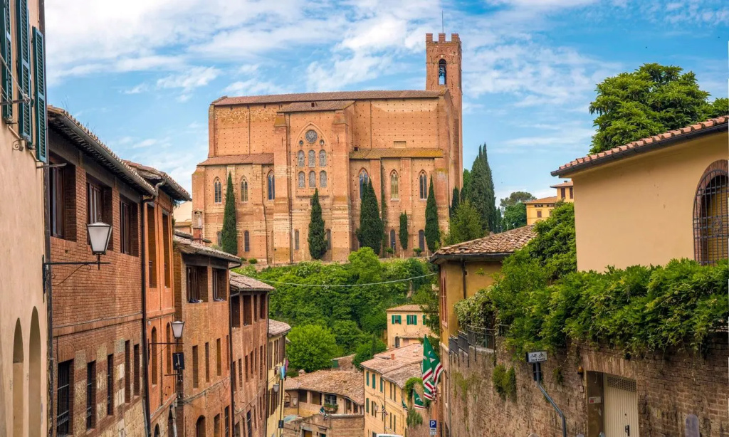 Rinidia - Siena Celso Cittadini Grande