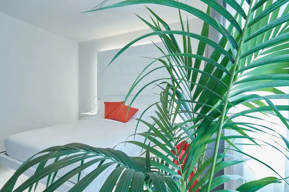 Via Roma 25 Bed&Breakfast