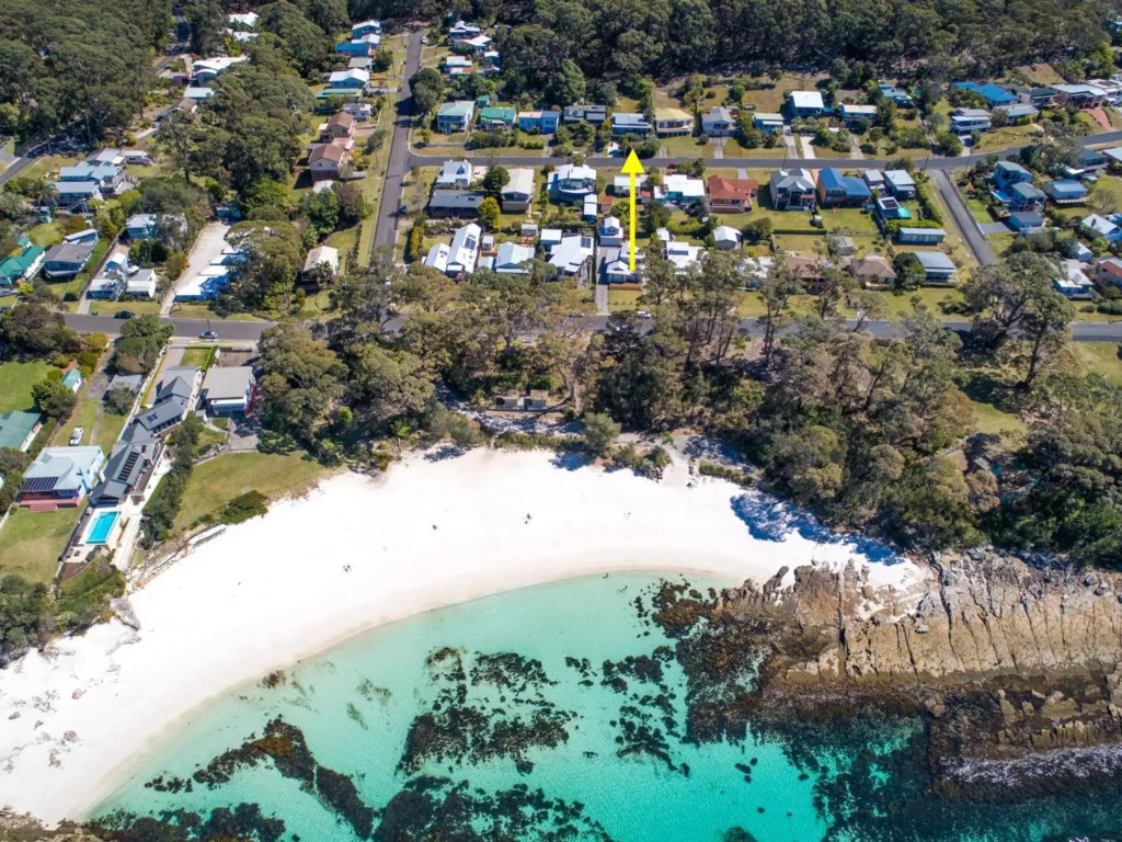 Palmwood at Hyams Beach
