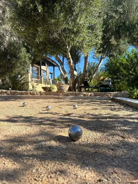Dar Mimosa