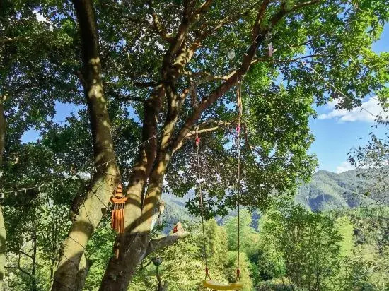 Yard Homestay