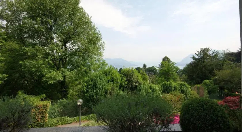 Pallavicino