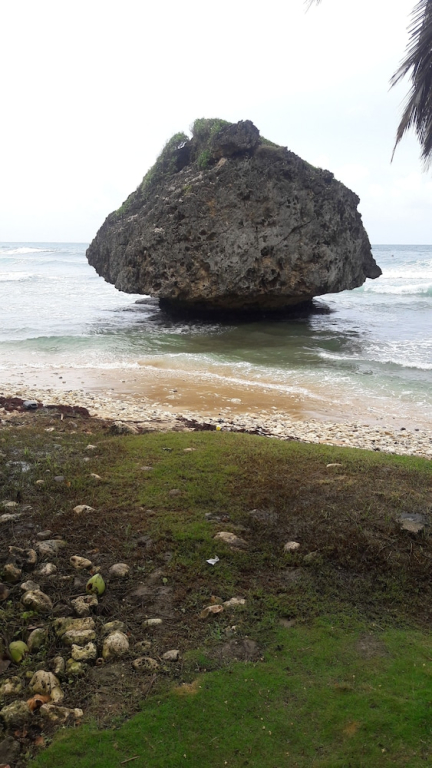 Sues Homestay