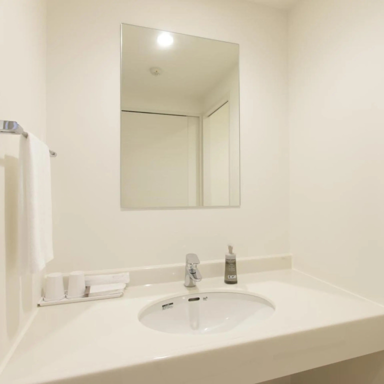 Hotel New Gaea Nishi Kumamoto Ekimae