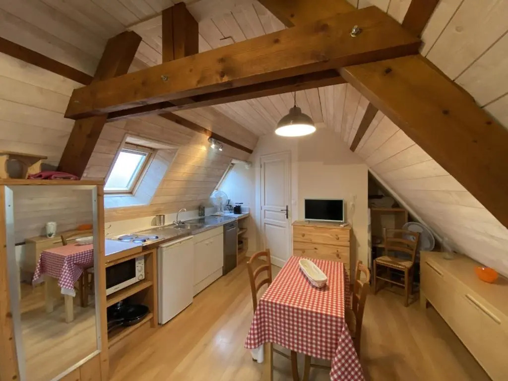 Appartement La Roche-Posay, 1 pièce, 2 personnes - FR-1-541-55