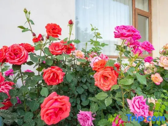 Beijing Xixiangfeng Boutique Stay (Yanqi Lake Scenic Area)
