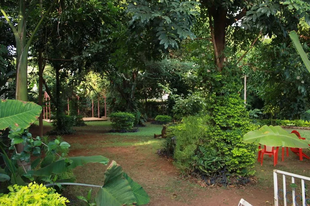 The Pink Daisy Bed and Breakfast